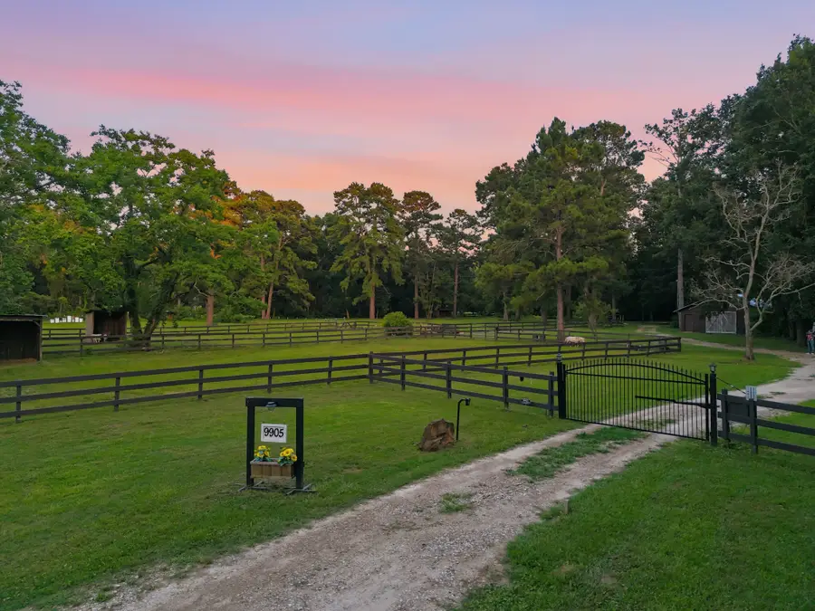 9905 Kleppel Road, Tomball, TX 77375 - #3
