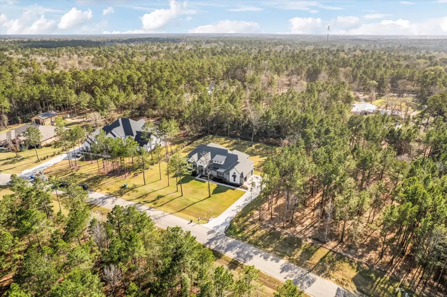 7729 Dog Wood Acres Drive, Montgomery, TX 77316 - Image #3