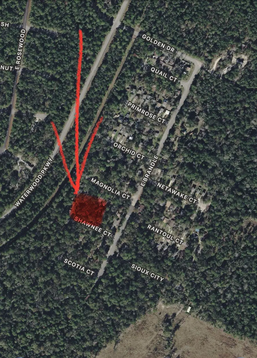 28624 Shawnee Ct, Pointblank, TX 77364 - #3