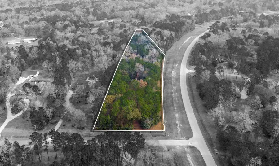 235 Lake Commons Court, Huffman, TX 77336 - Image #3