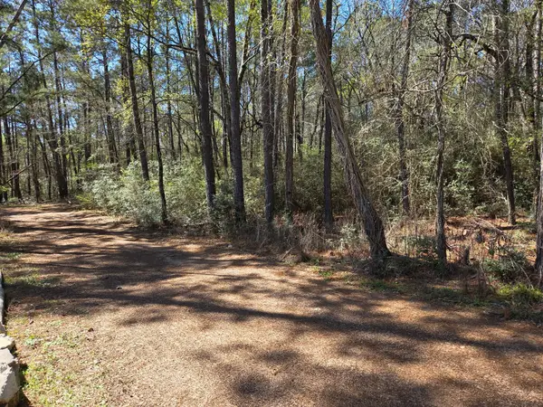 lot 19 Hackberry Drive, Plantersville, TX 77363