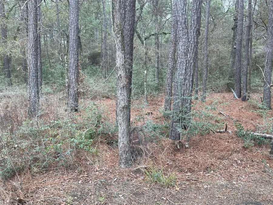 lot 19 Hackberry Drive, Plantersville, TX 77363 - #3