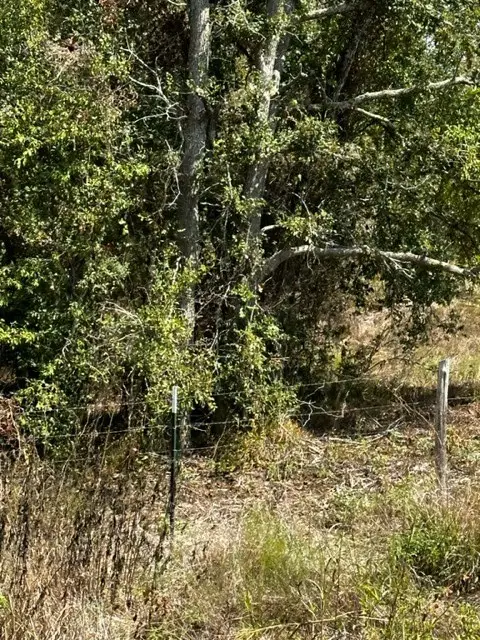 TR 9 County Rd 240, Eagle Lake, TX 77434 - Image #3