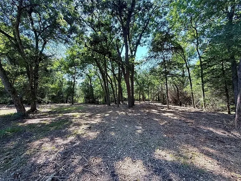 0 Flewellen, Brenham, TX 77833 - Image #3