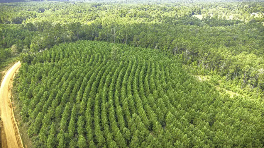 TBD Stutts Hill Rd, Livingston, TX 77351 - Image #3