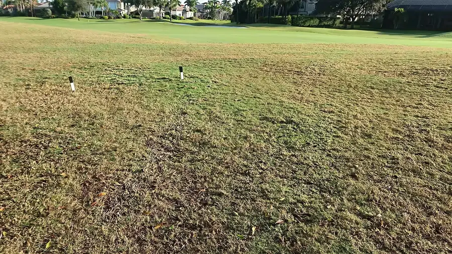 5417 Oregon Trail, Granbury, TX 76048 - #3