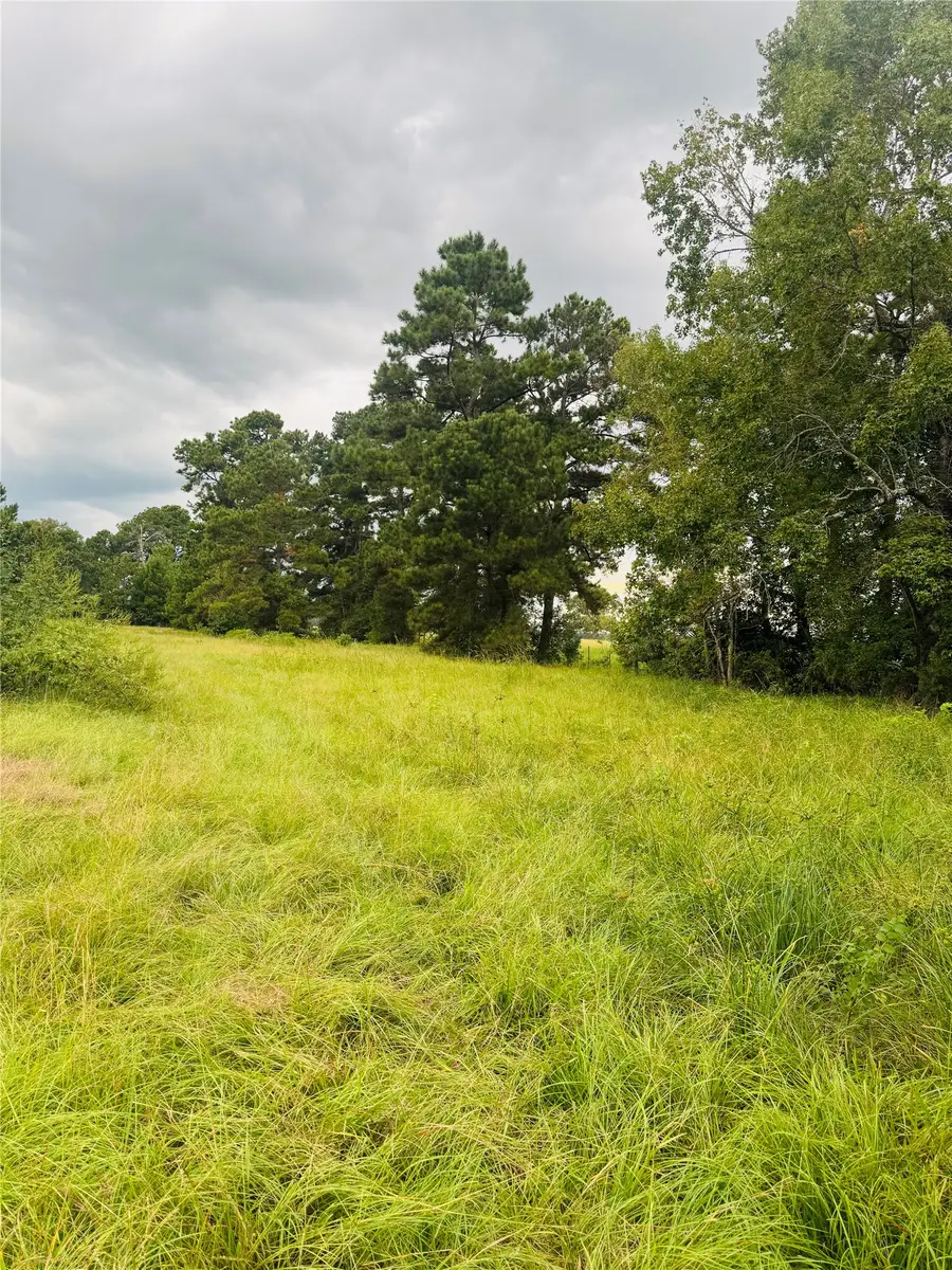 TBD Fm 770 N, Hull, TX 77564 - #3