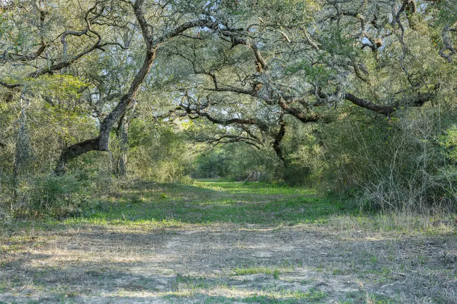 1746 County Road 103, Columbus, TX 78934 - #3