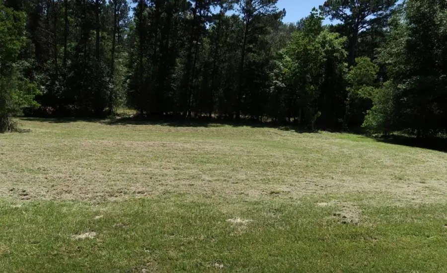 64 Westwood Drive E, Trinity, TX 75862 - #2