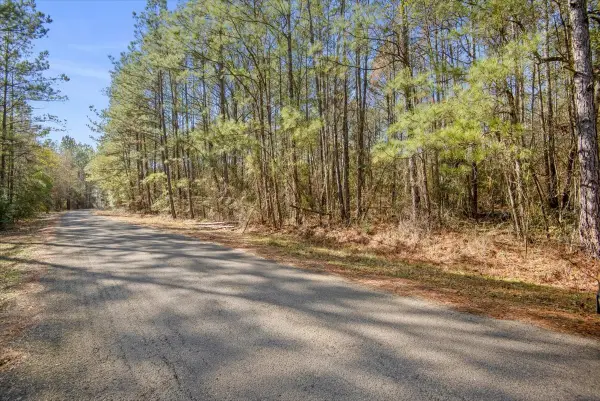 13681 Cr 201 Loop Lane, Plantersville, TX 77363