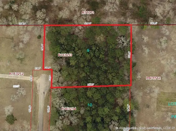 Lot 9 Stephens Forest, New Caney, TX 77357 - #1