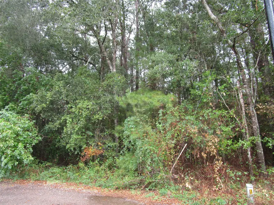 Lot 9 Stephens Forest, New Caney, TX 77357 - #2