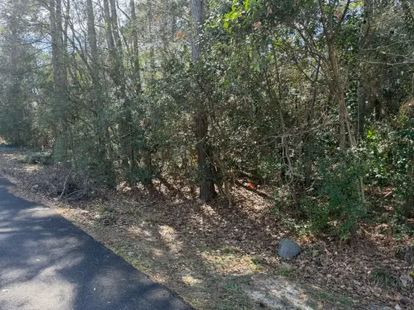 136 Paradise Valley Drive, Conroe, TX 77304