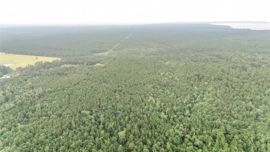 TBD John Hensley Road, Livingston, TX 77351 - #3