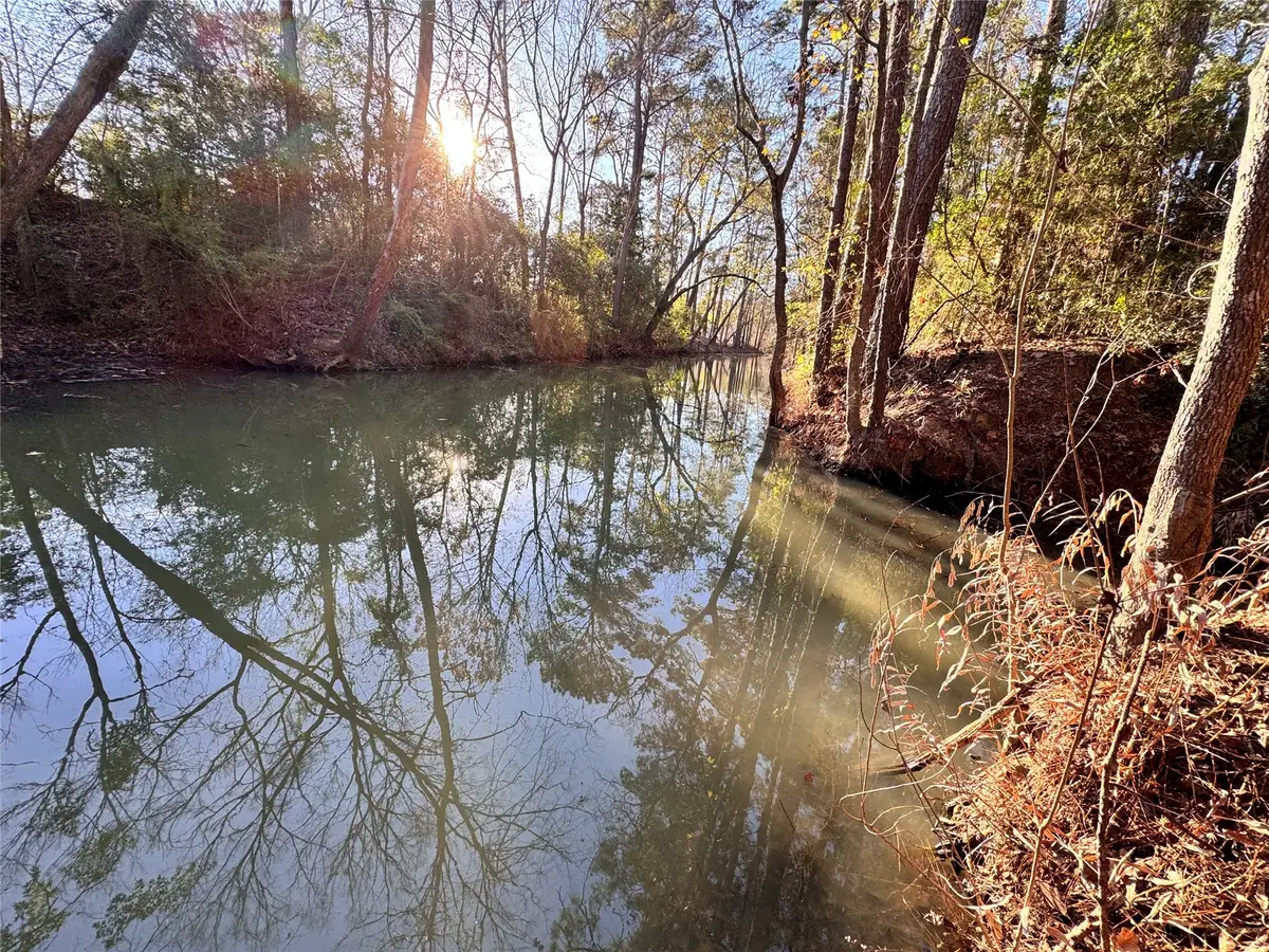 Lot 98 Barbil Lane, Huffman, TX 77336 - Image #1