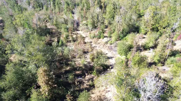 TBD Fm 1280 East, Lovelady, TX 75851