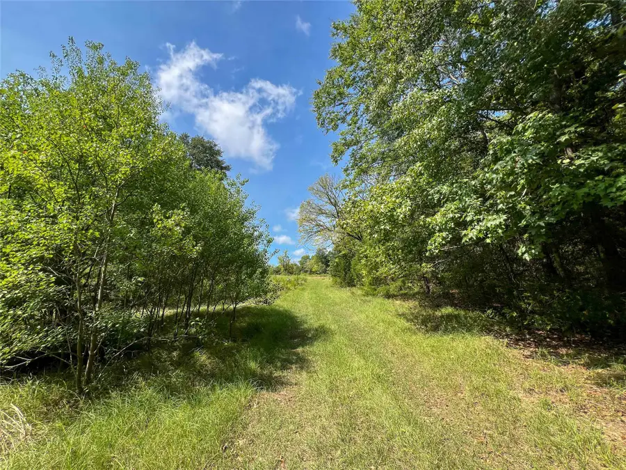 1 County Road 3330, Jacksonville, TX 75766 - #2