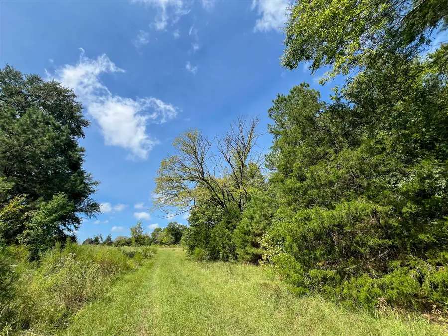1 County Road 3330, Jacksonville, TX 75766 - #3