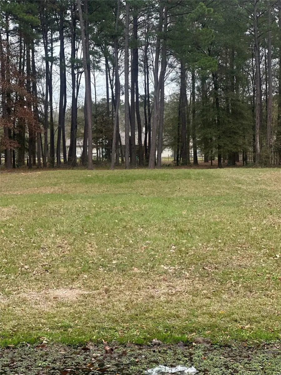 17107 Paluxy Court, Splendora, TX 77372 - #3