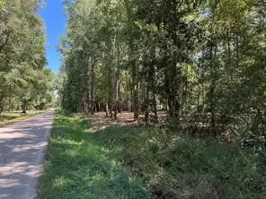 0 County Road 3812, Cleveland, TX 77327 - #3