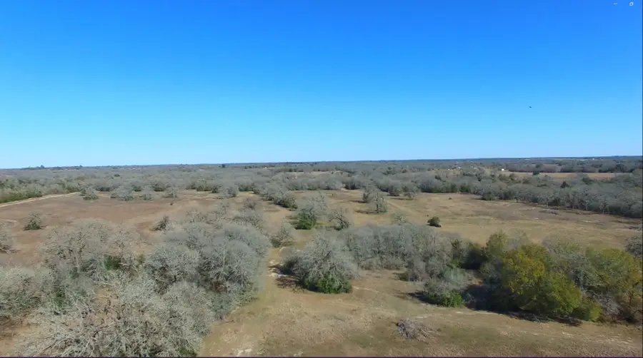 8383 Fm-60, Somerville, TX 77879 - #2