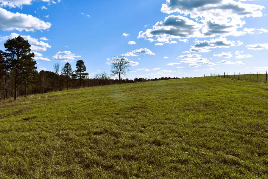 8084 E County Road 212, Buffalo, TX 75831 - #3