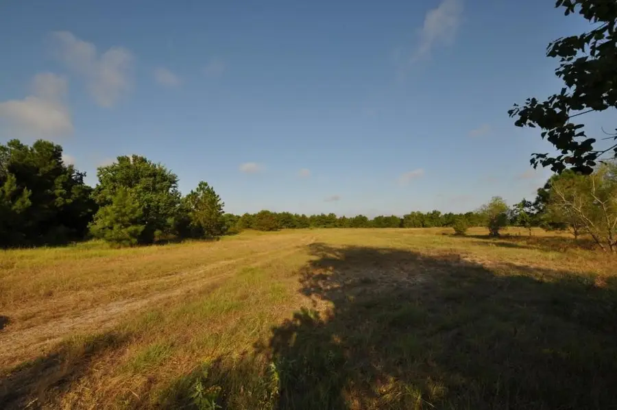 TBD Old Riley Fuzzel Rd, Spring, TX 77386 - Image #2