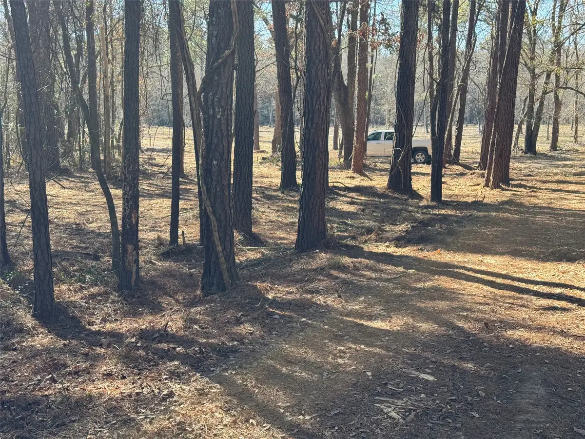 16 AC Steede Rd, Montgomery, TX 77356 - #1