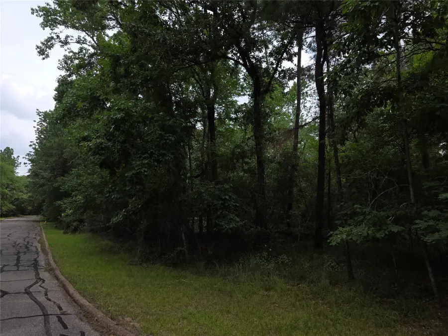 TBD Bermuda Dune, Huntsville, TX 77364 - #2