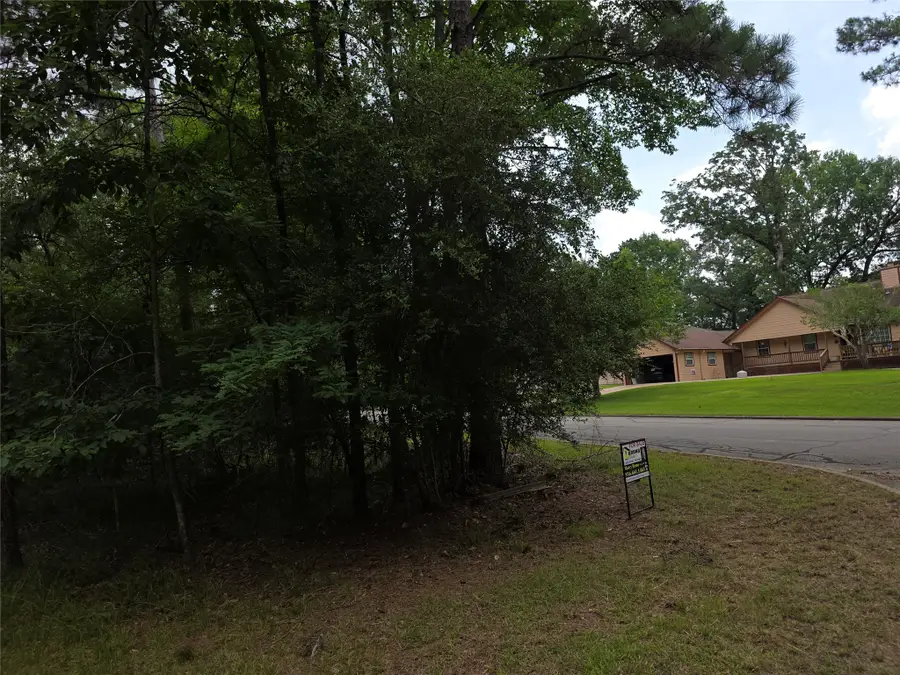TBD Bermuda Dune, Huntsville, TX 77364 - #3
