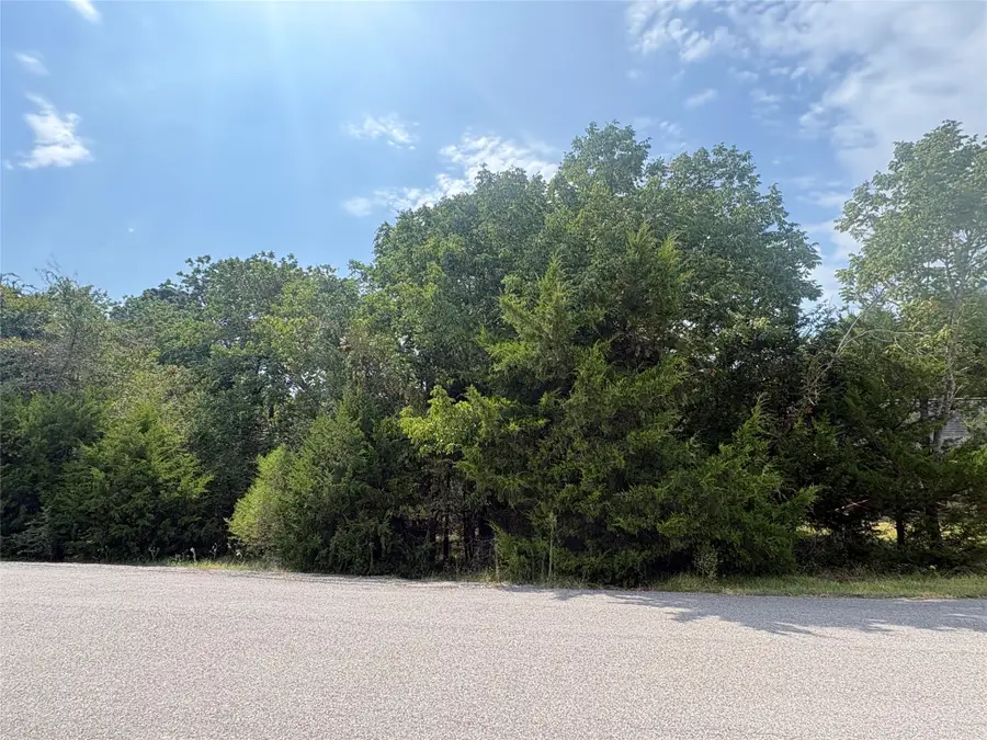 23 N Pine Harbour Drive, Coldspring, TX 77331 - #2