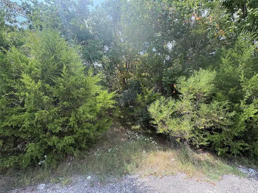 23 N Pine Harbour Drive, Coldspring, TX 77331 - #3