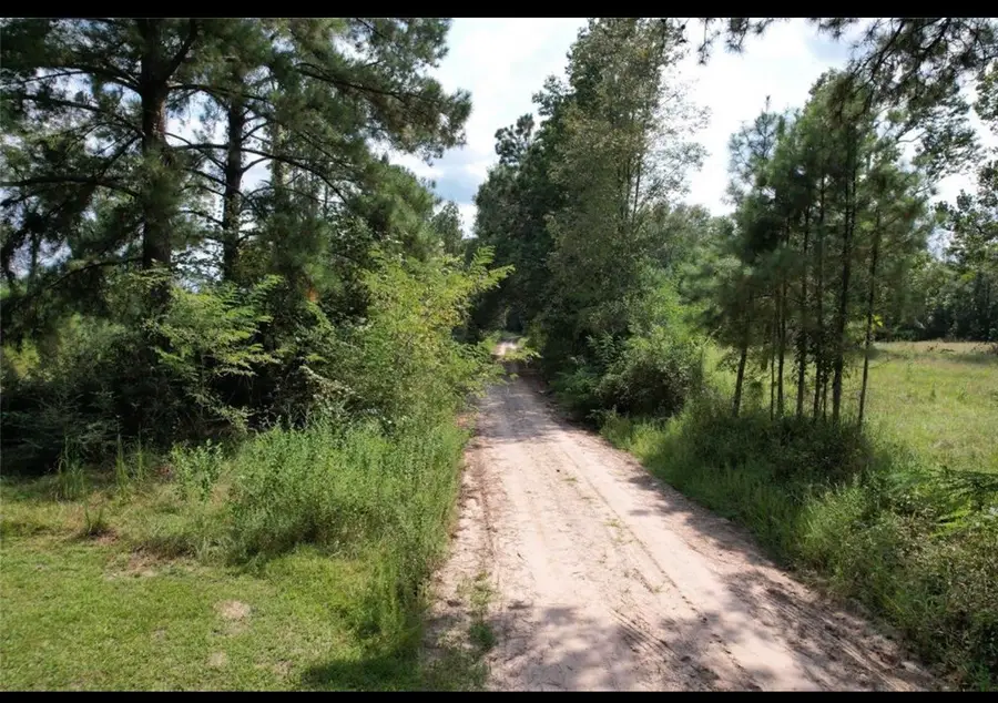 4.3 Ac Lacy 3 Rd, Groveton, TX 75845 - #2