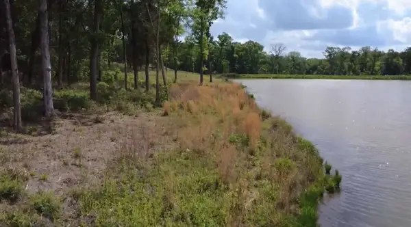 Lot 9 County Road 494, Jewett, TX 75846