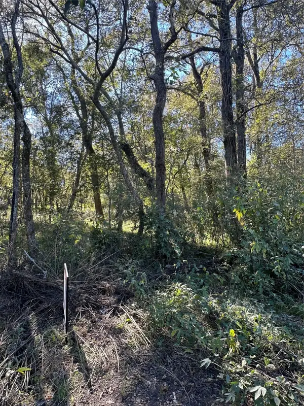 0 Oak Forest Drive, Guy, TX 77444