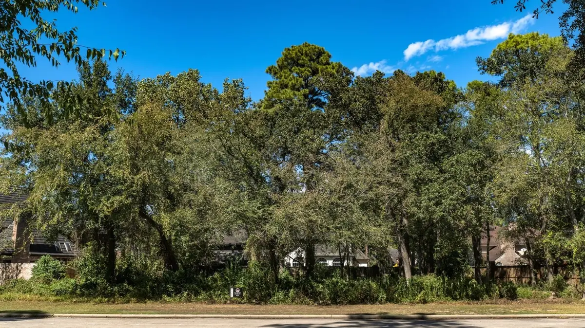 3006 Cedar Woods Place, Houston, TX 77068 - #1