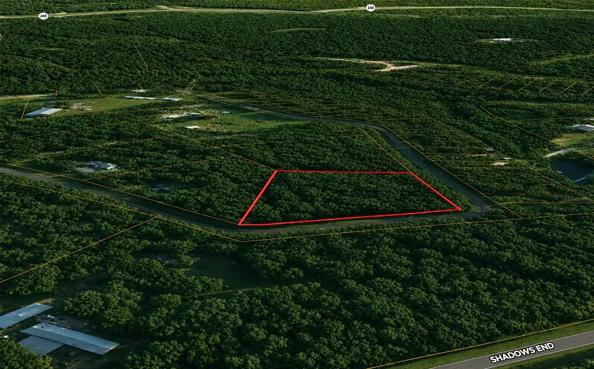 9102 Blue Lake Drive, Plantersville, TX 77363 - #1
