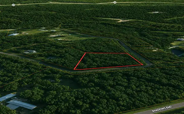 9102 Blue Lake Drive, Plantersville, TX 77363