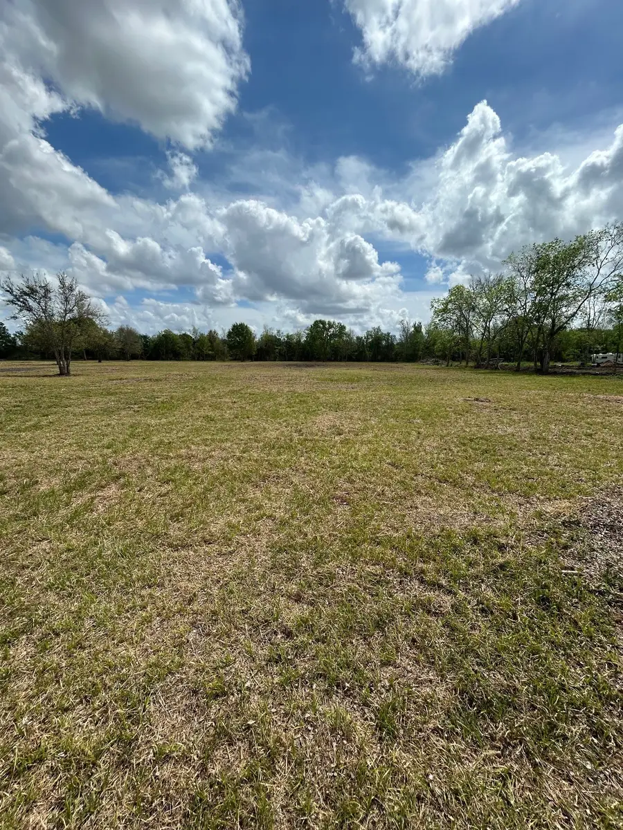 000 Saddle Drive, Pleak, TX 77461 - #3