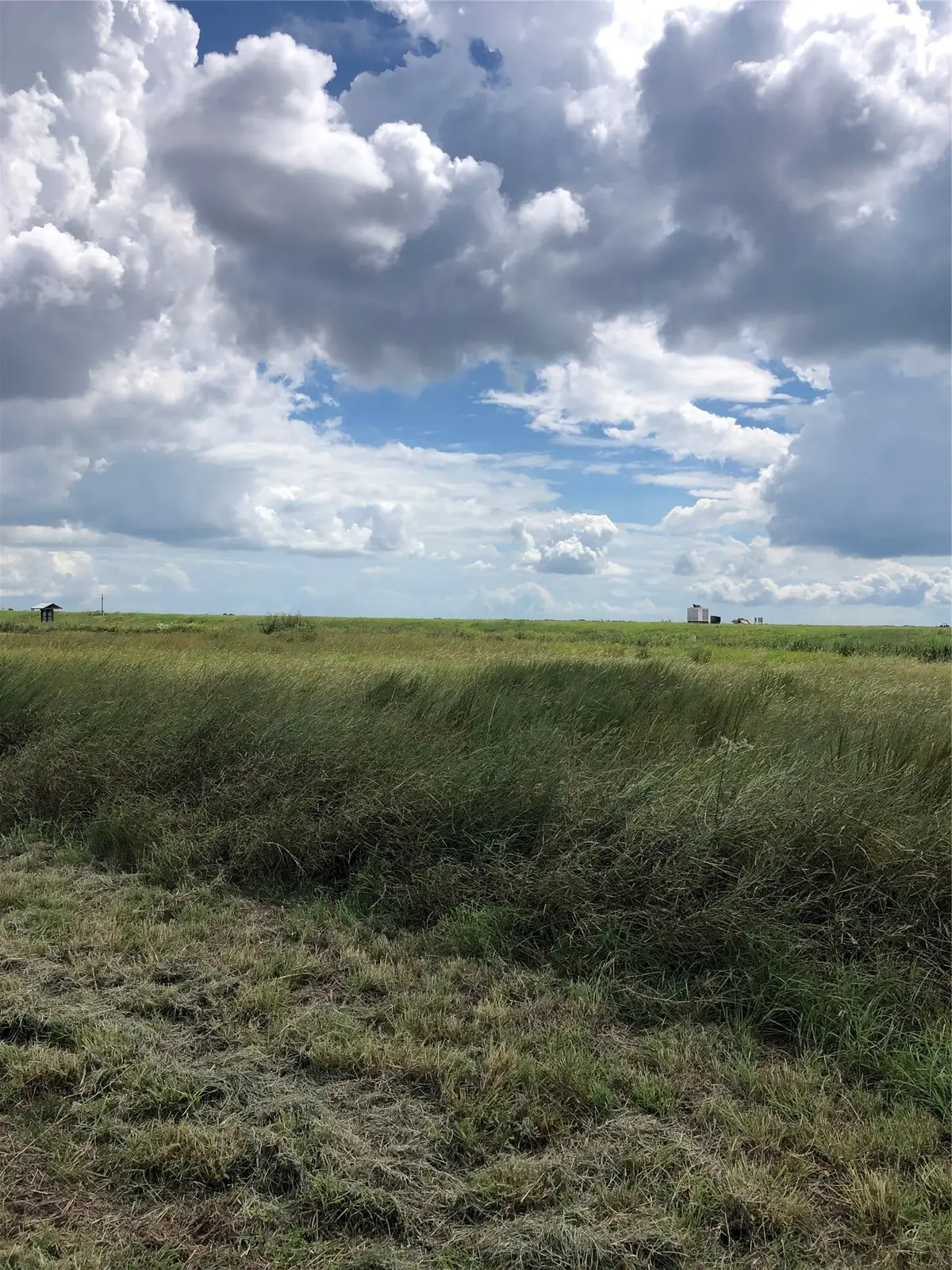 Lot 166 Coral Lane, Palacios, TX 77465 - #1