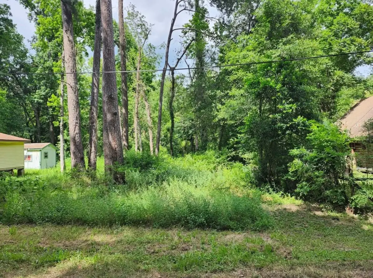 0 Lakeside Drive, Conroe, TX 77303 - Image #1