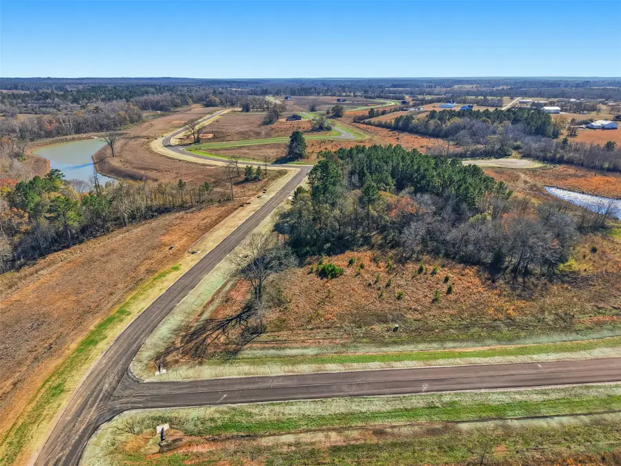 119 Kiowa Trail, New Waverly, TX 77358 - #2