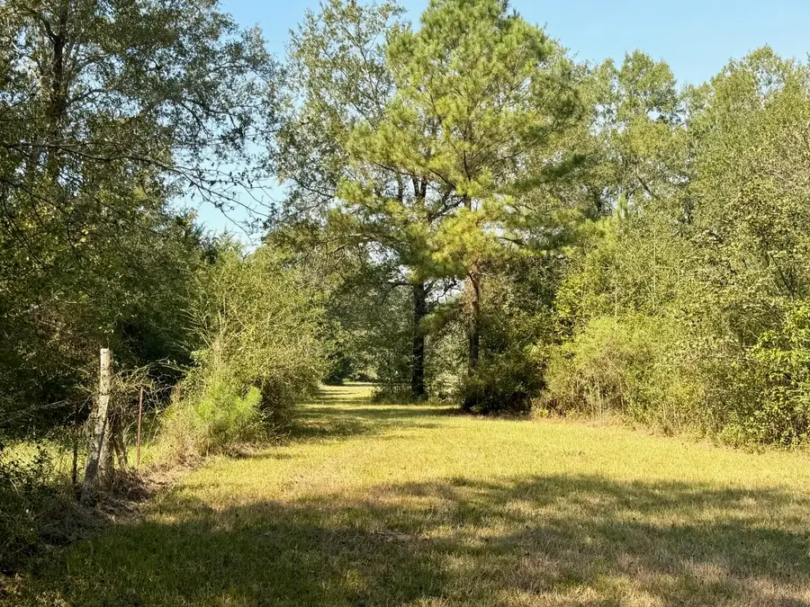 5 ac Fm 542, Oakwood, TX 75855 - #3