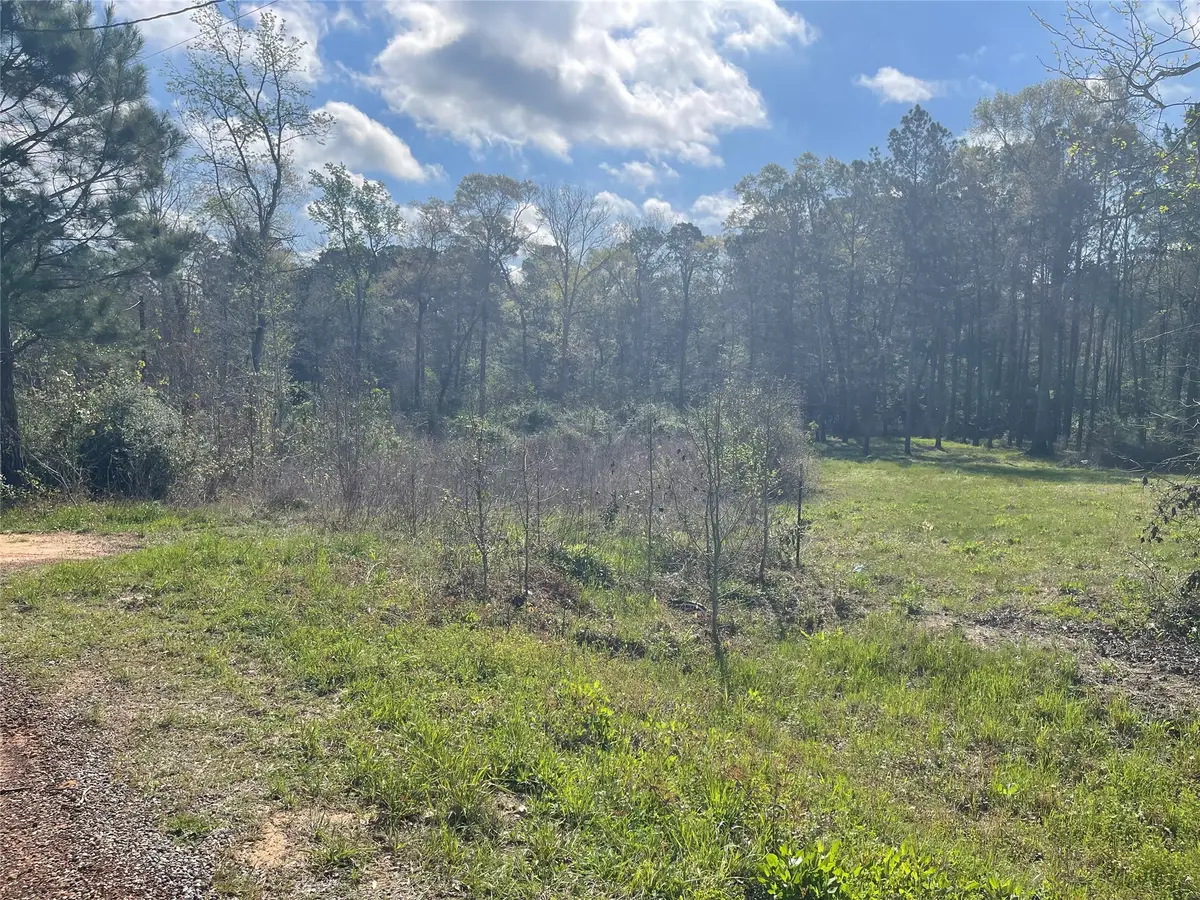 TBD Elenor Drive, Cleveland, TX 77328 - #1