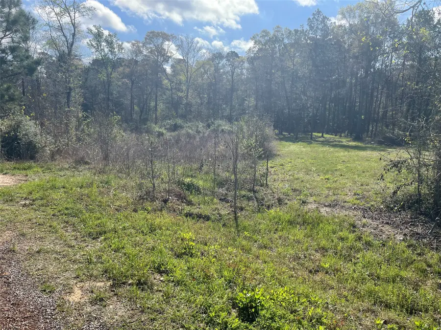 TBD Elenor Drive, Cleveland, TX 77328 - #2