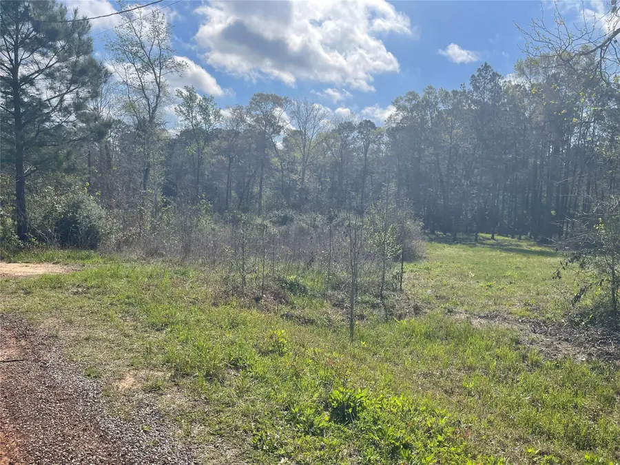 TBD Elenor Drive, Cleveland, TX 77328 - #3