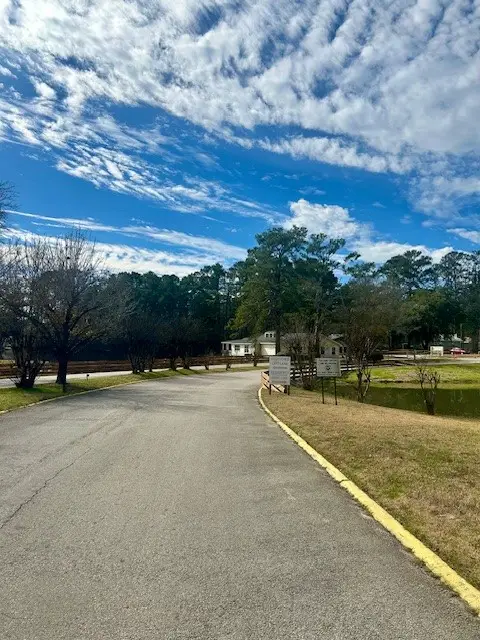 157 Honeysuckle, Livingston, TX 77351 - #3