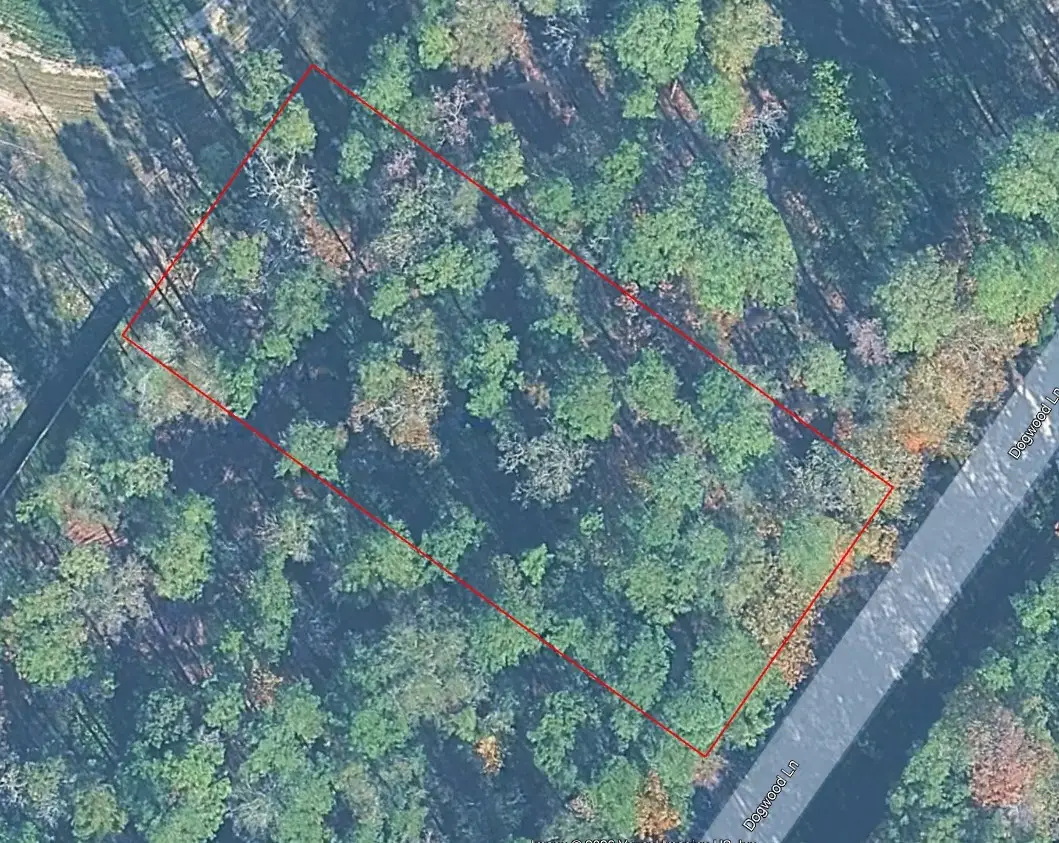 0000 Dogwood Lane, Houston, TX 77339 - #1