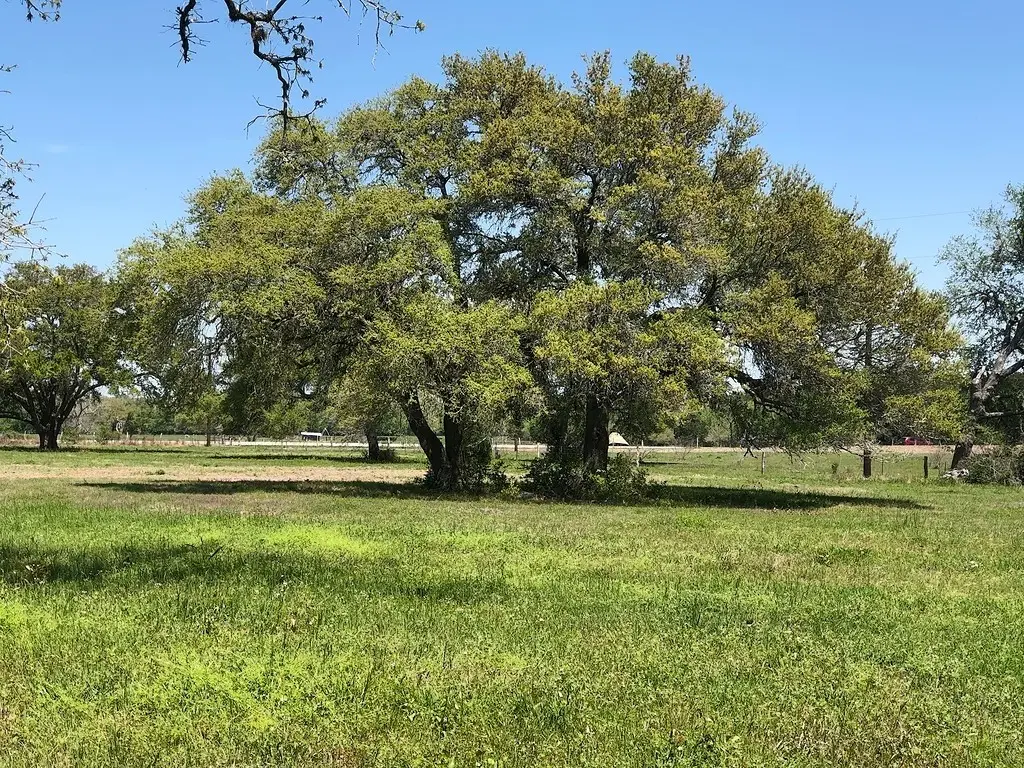 Lot 6 Pvt 1671, Hallettsville, TX 77964 - Image #1