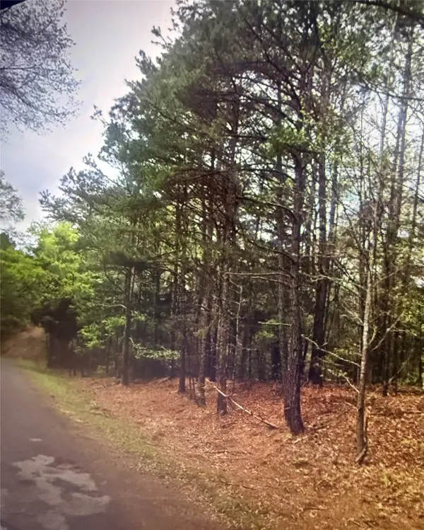 0 County Road 375, Palestine, TX 75801